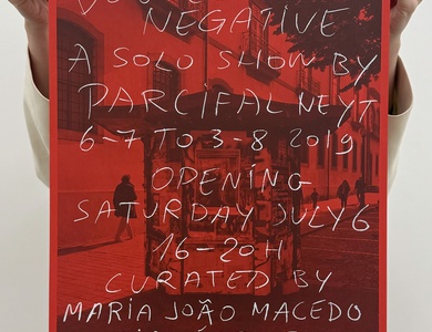 Double Negative