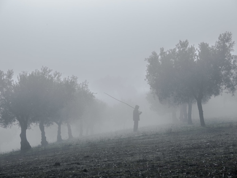 Oficina de Etnoficção